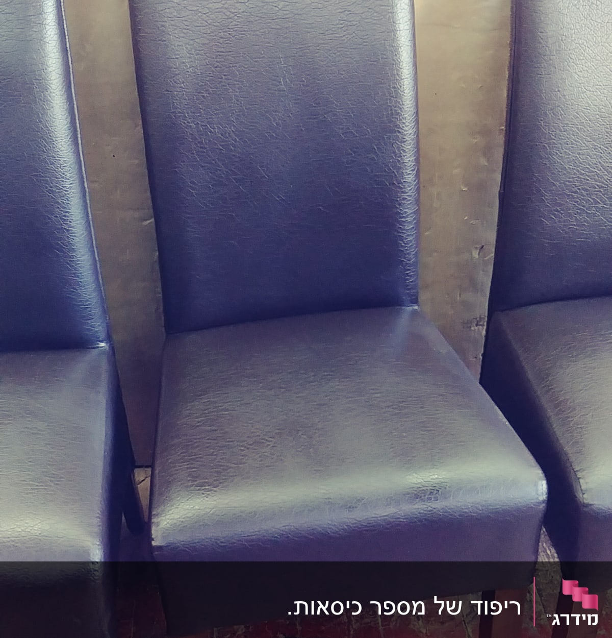 כיסאות מרופדים בעור כהה עם רגלי עץ